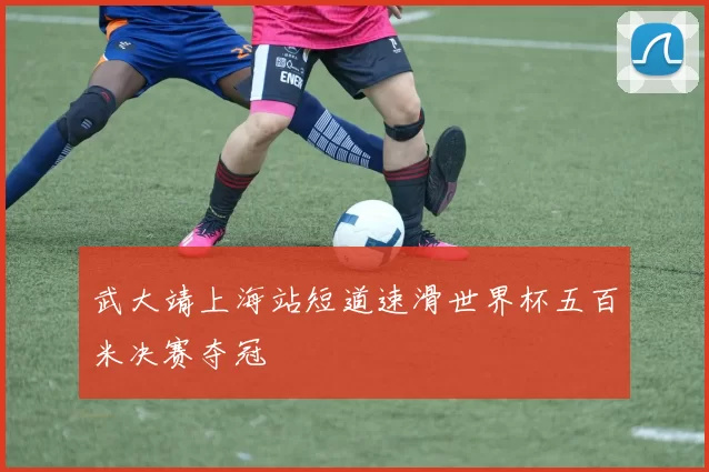 武大靖上海站短道速滑世界杯五百米决赛夺冠